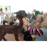 28.05.2015 Seniorenheim Vitaris